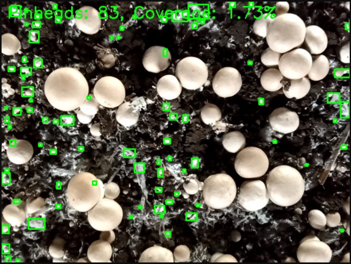 Slide 9