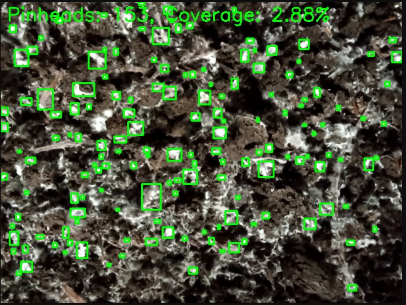 Slide 10